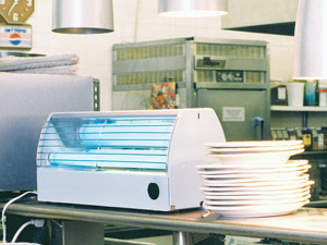 View Showing the Paraclipse Terminator Fly Trap. This sanitary fly trap is ideal for restaurants, kitchens, manufacturing plants, or other commercial applications.